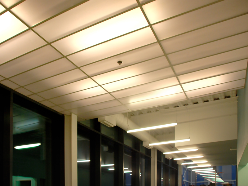 Eagle Academy Educational Lighting project by Gilmore Ligth